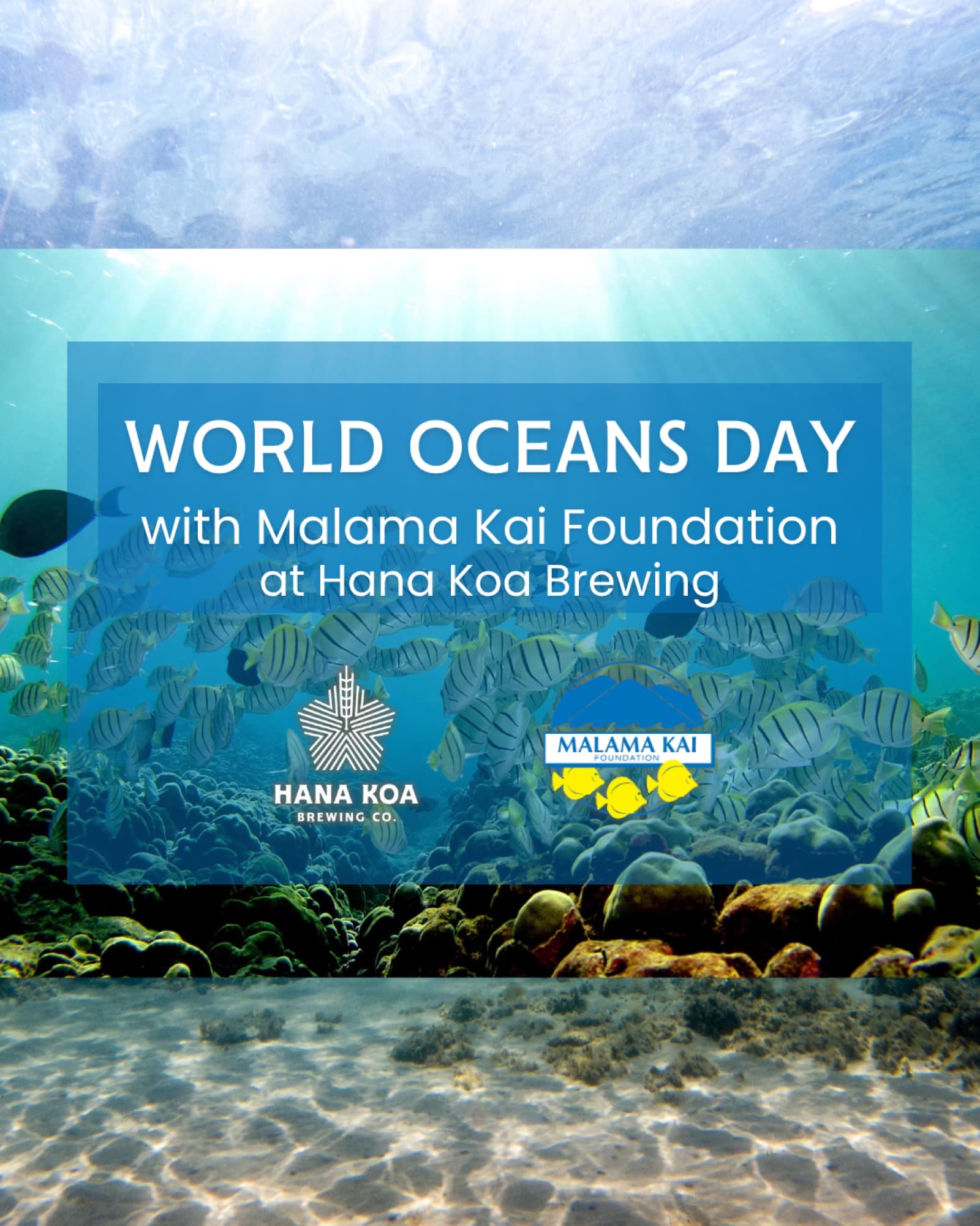 Hana Koa Brewing Co. — world oceans day event flyer