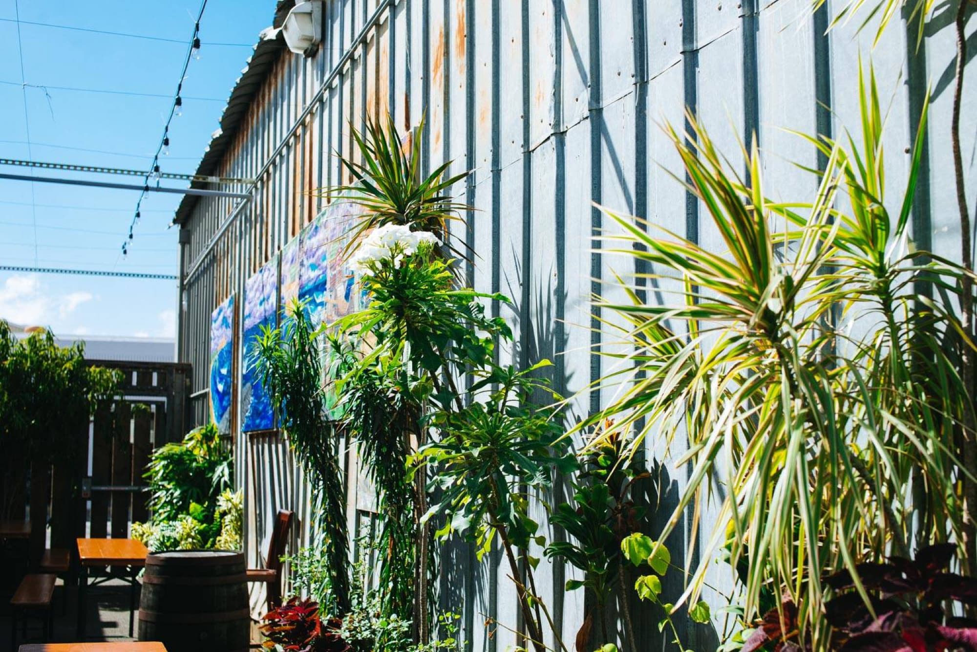 Honolulu Beerworks — tropical plants patio mural
