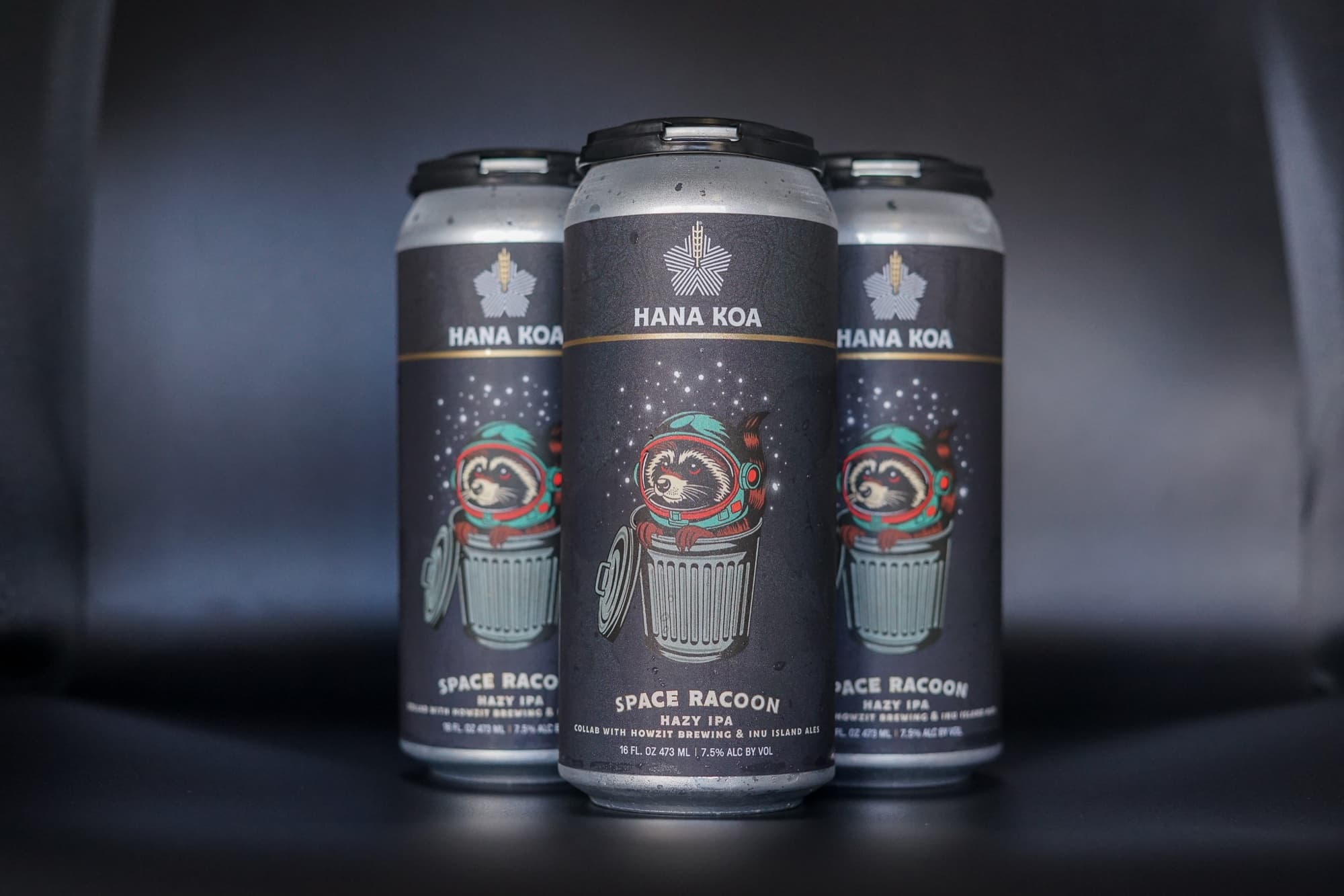 Howzit Brewing — space racoon hazy ipa cans