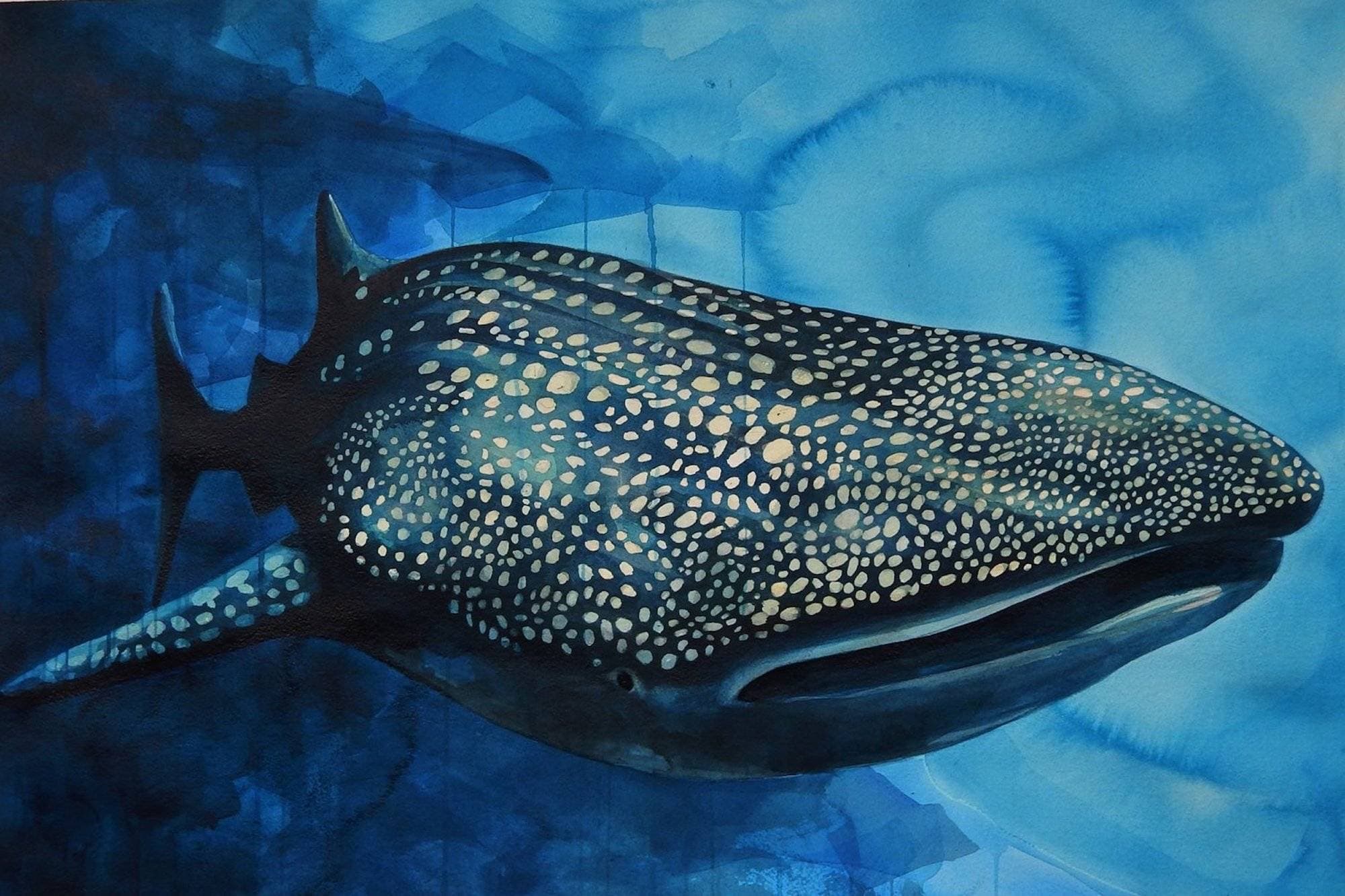 Honolulu Beerworks — whale shark mural painting