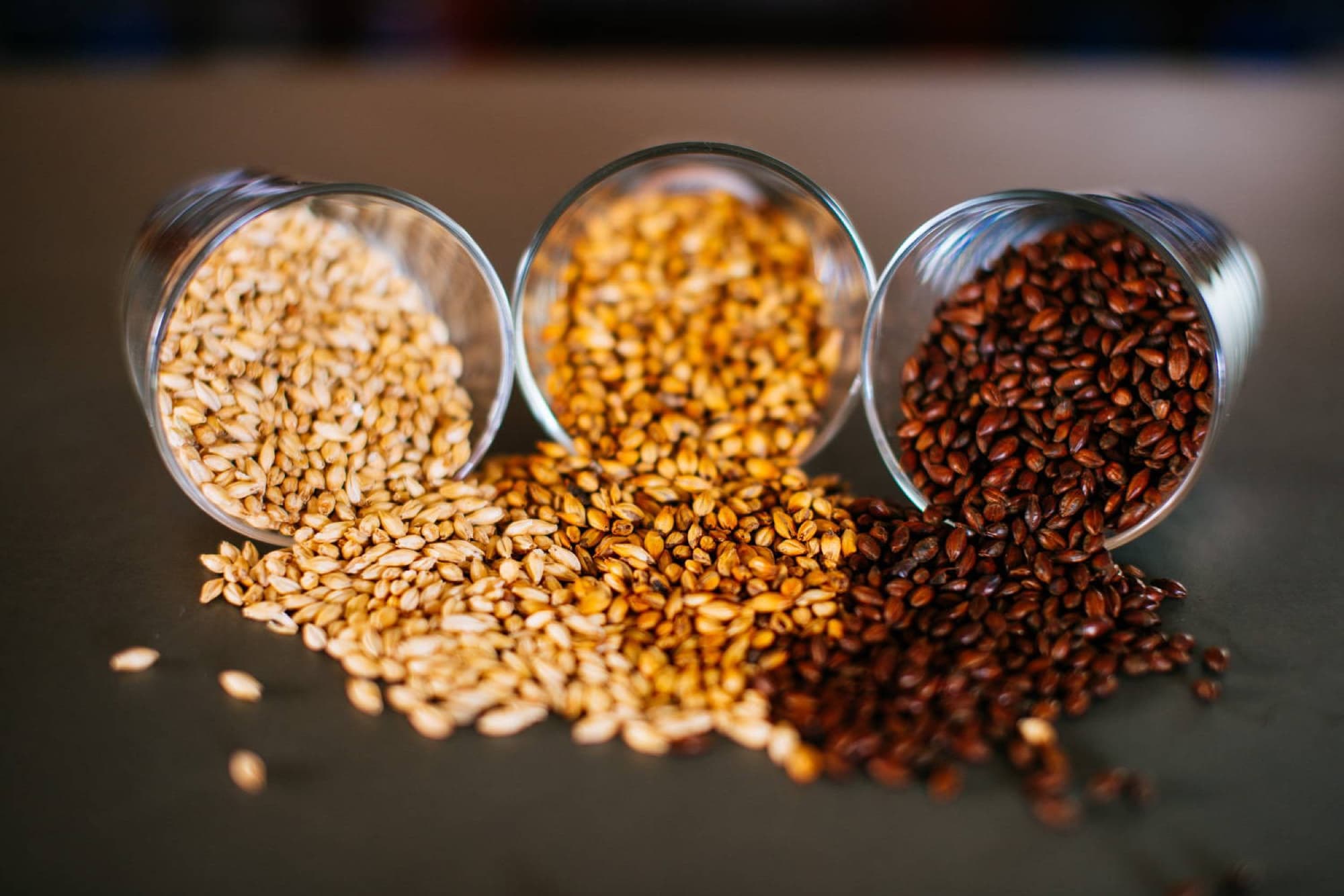 Honolulu Beerworks — malt grain trio spilled