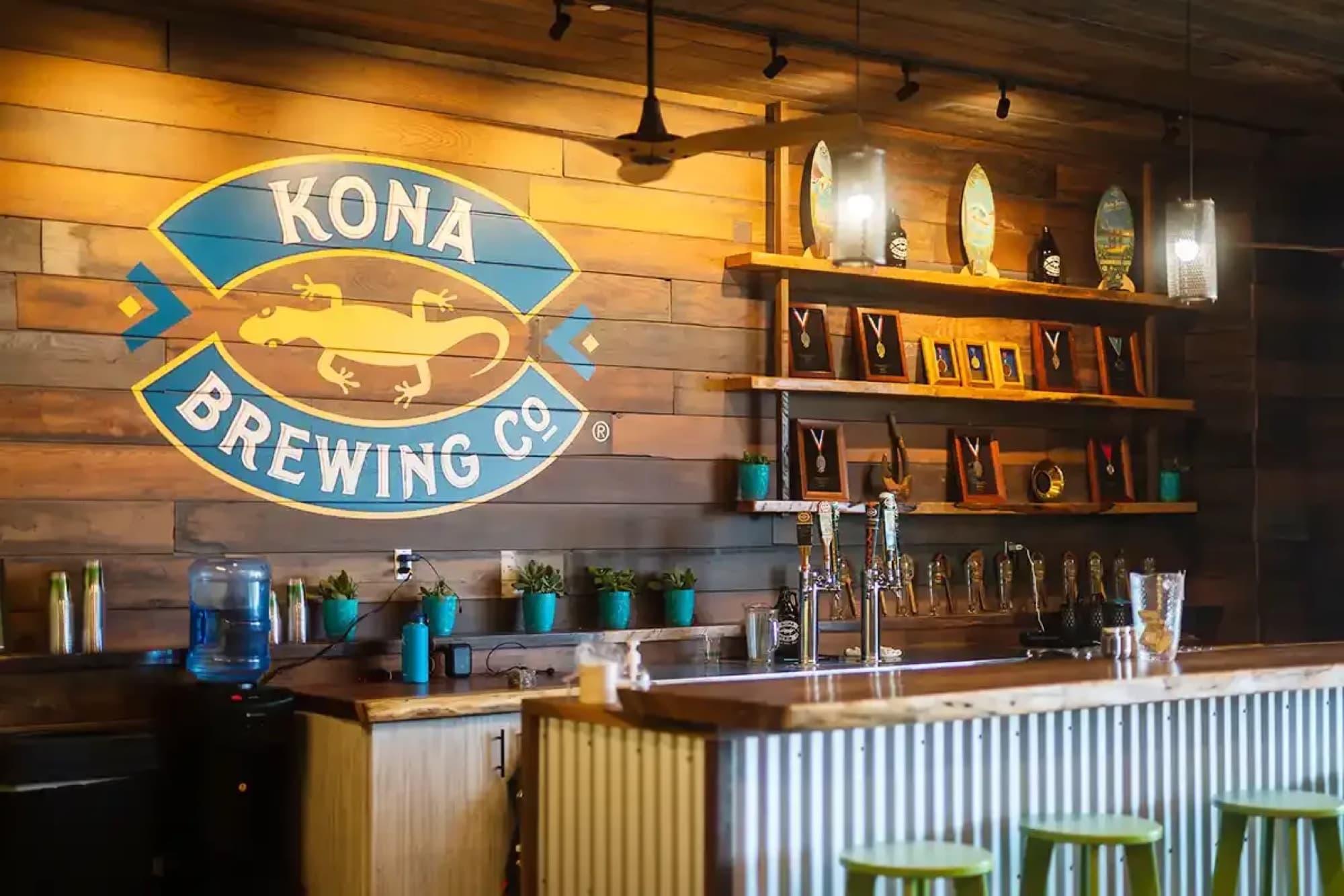 Kona Brewery — gecko logo tap bar