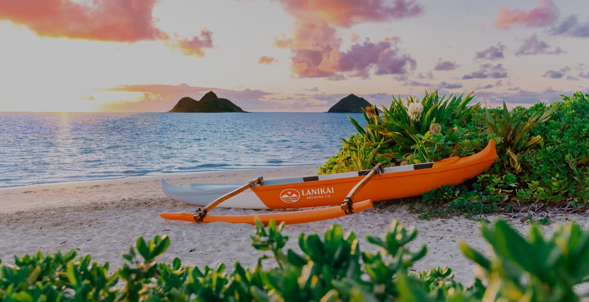 Lanikai Brewing — Volcano — outrigger canoe lanikai beach sunrise