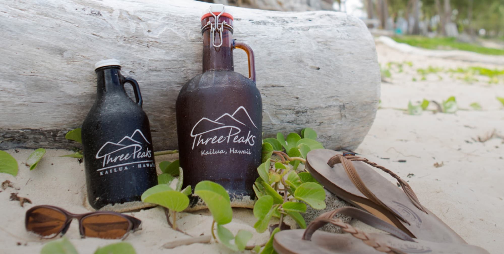 Three Peaks Brewing — growlers beach sand driftwood 2