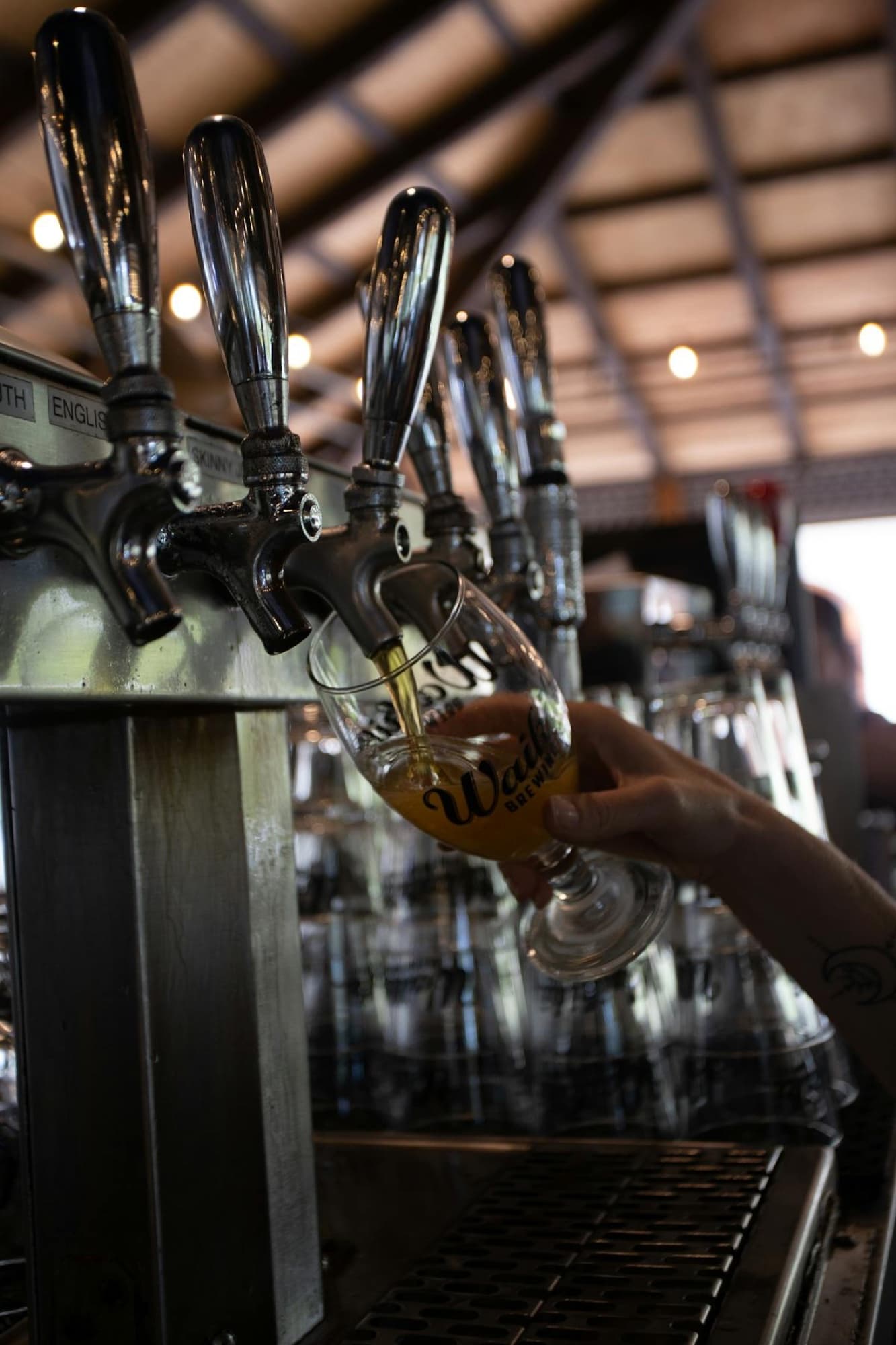 South Side Brew Pub — beer pour tap tulip glass